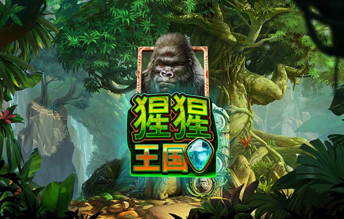 浩博平台官网